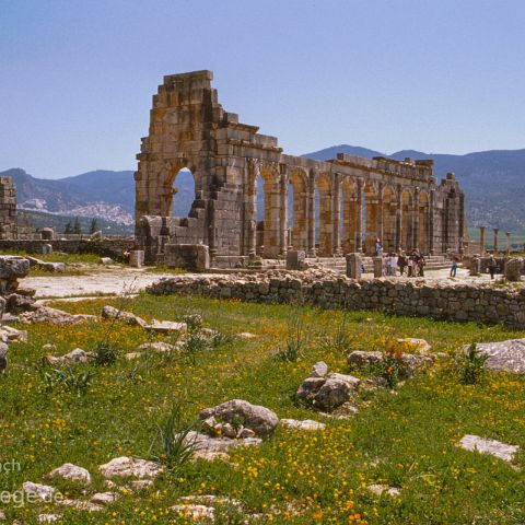 Marokko 008 Roemische_Ausgrabungen, Volubilis